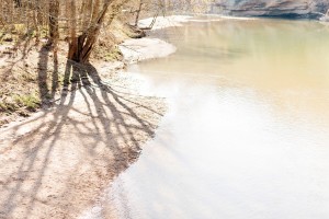 Turkey Run State Park Engagement Session