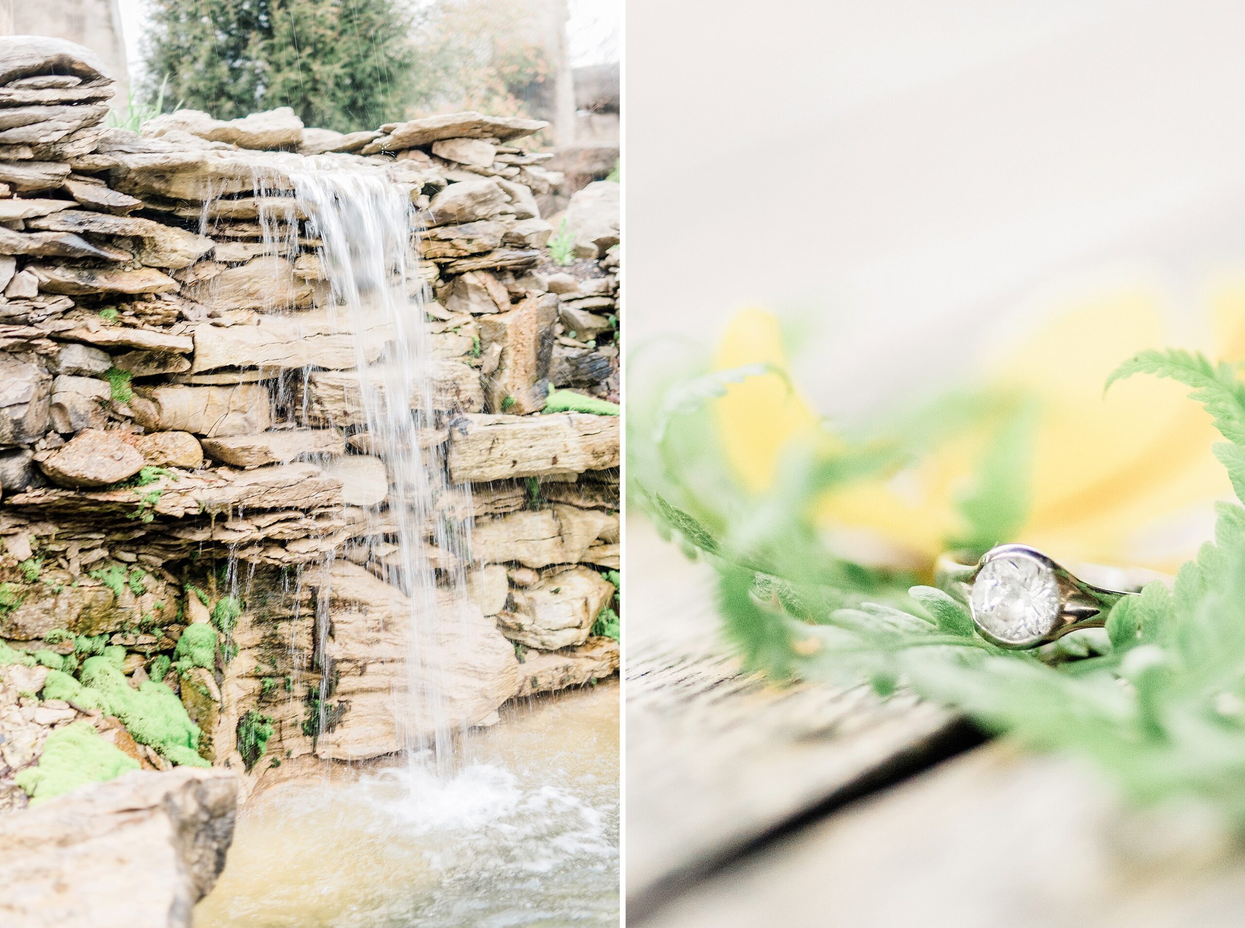 Oliver Winery Engagement Session Ring waterfall