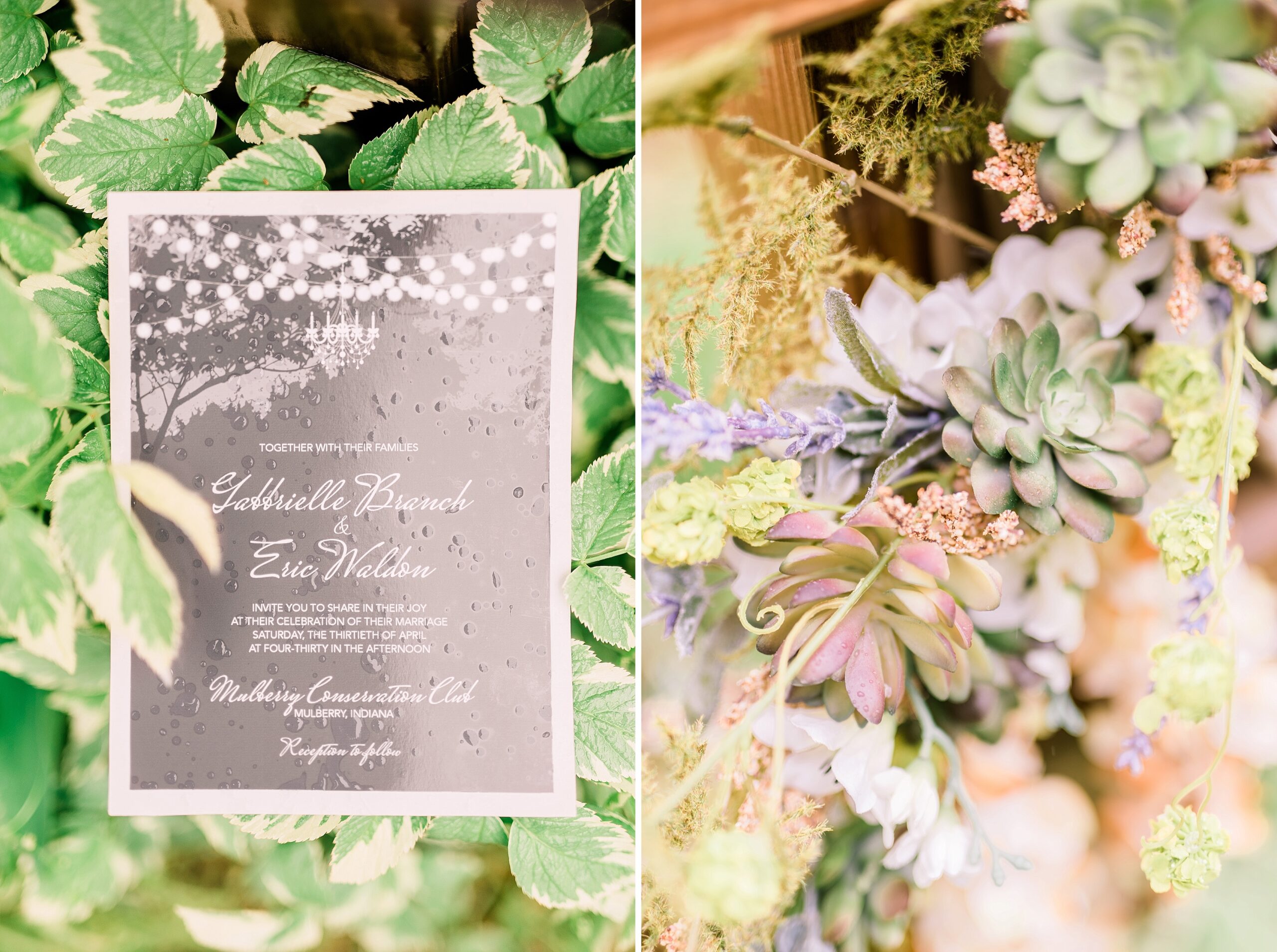 Indiana Wedding Invitation spring succulents outdoors