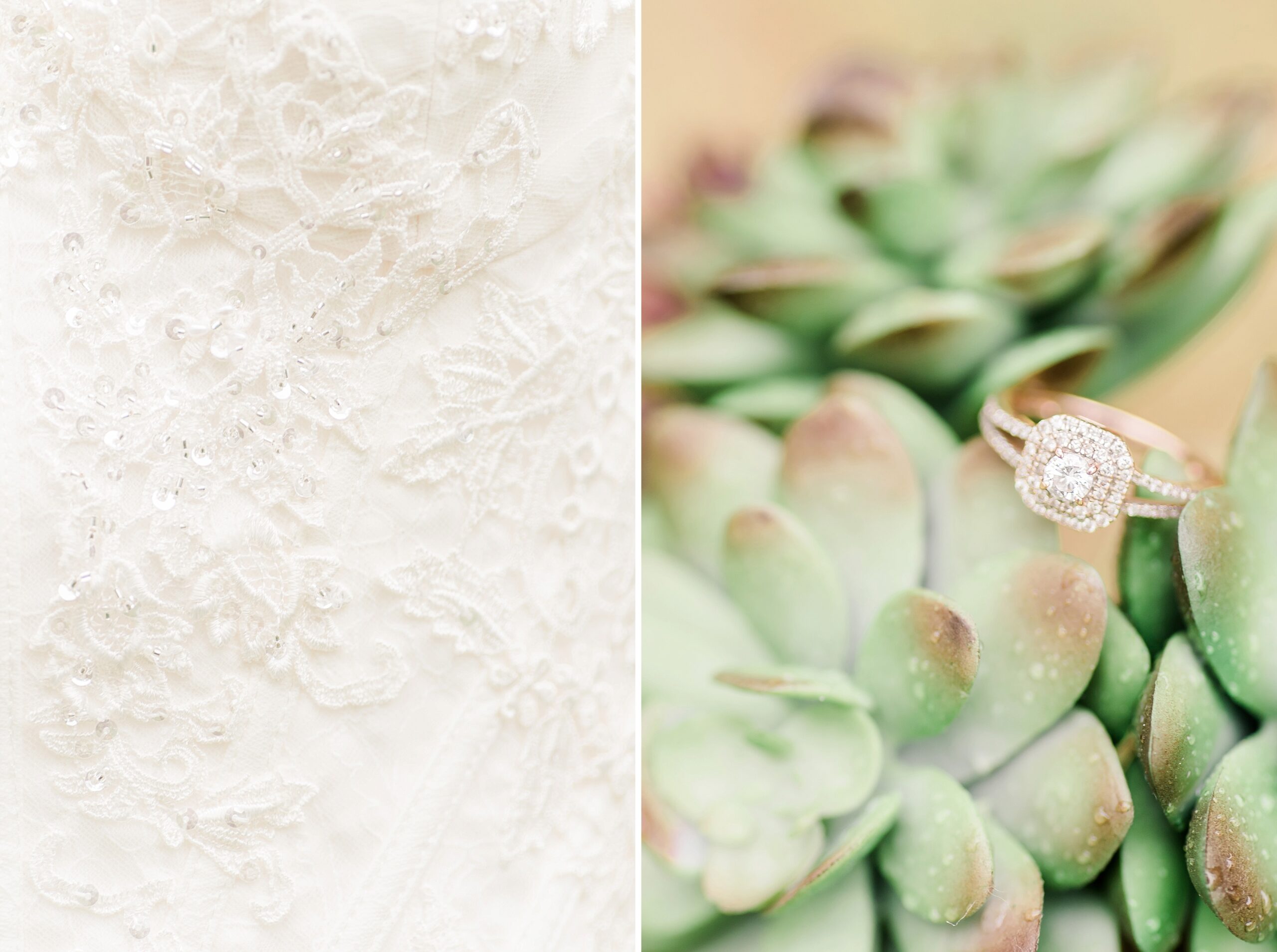 Indiana Wedding Rings spring succulents outdoors