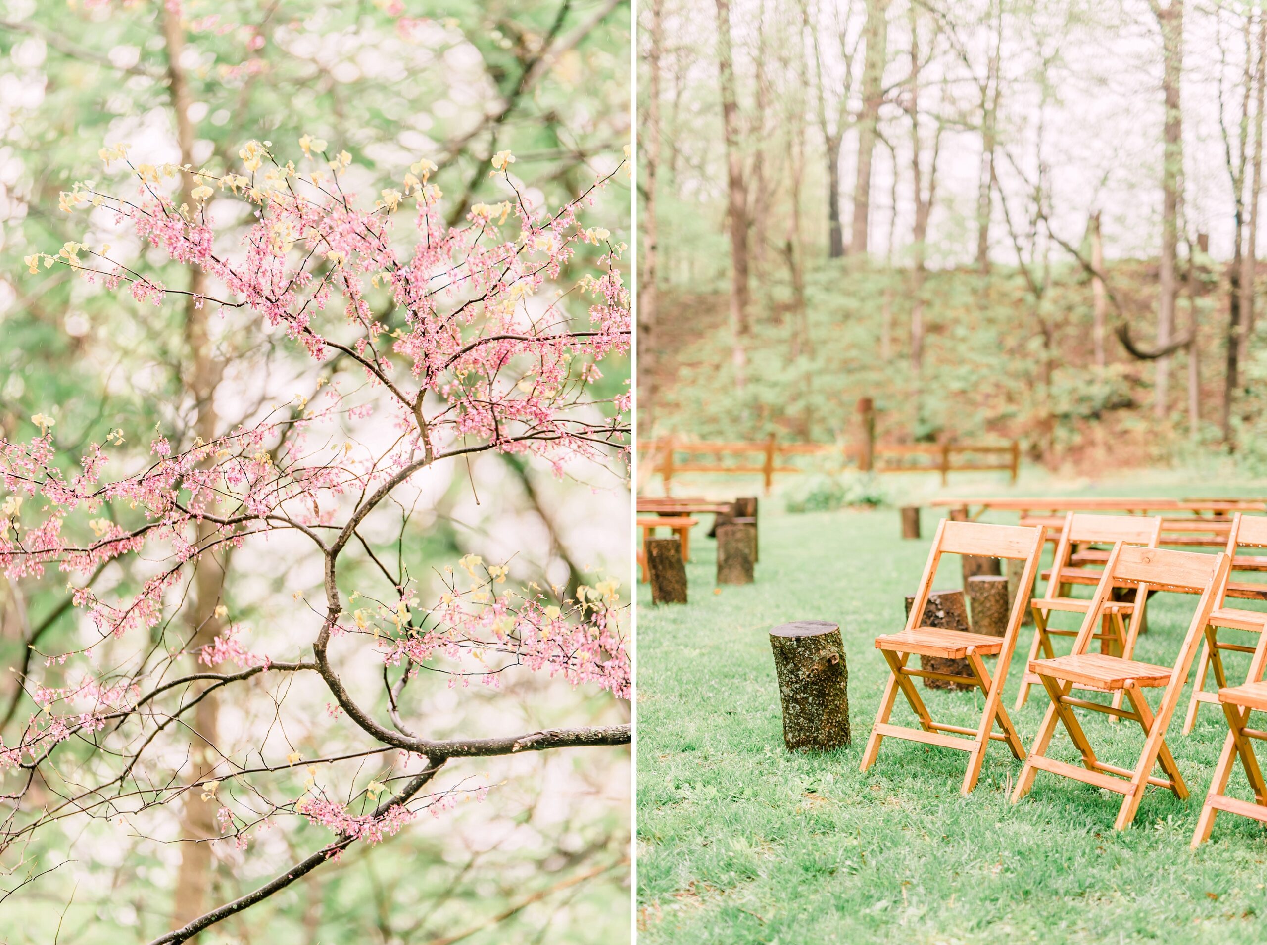 Indiana Wedding Ceremony spring succulents outdoors