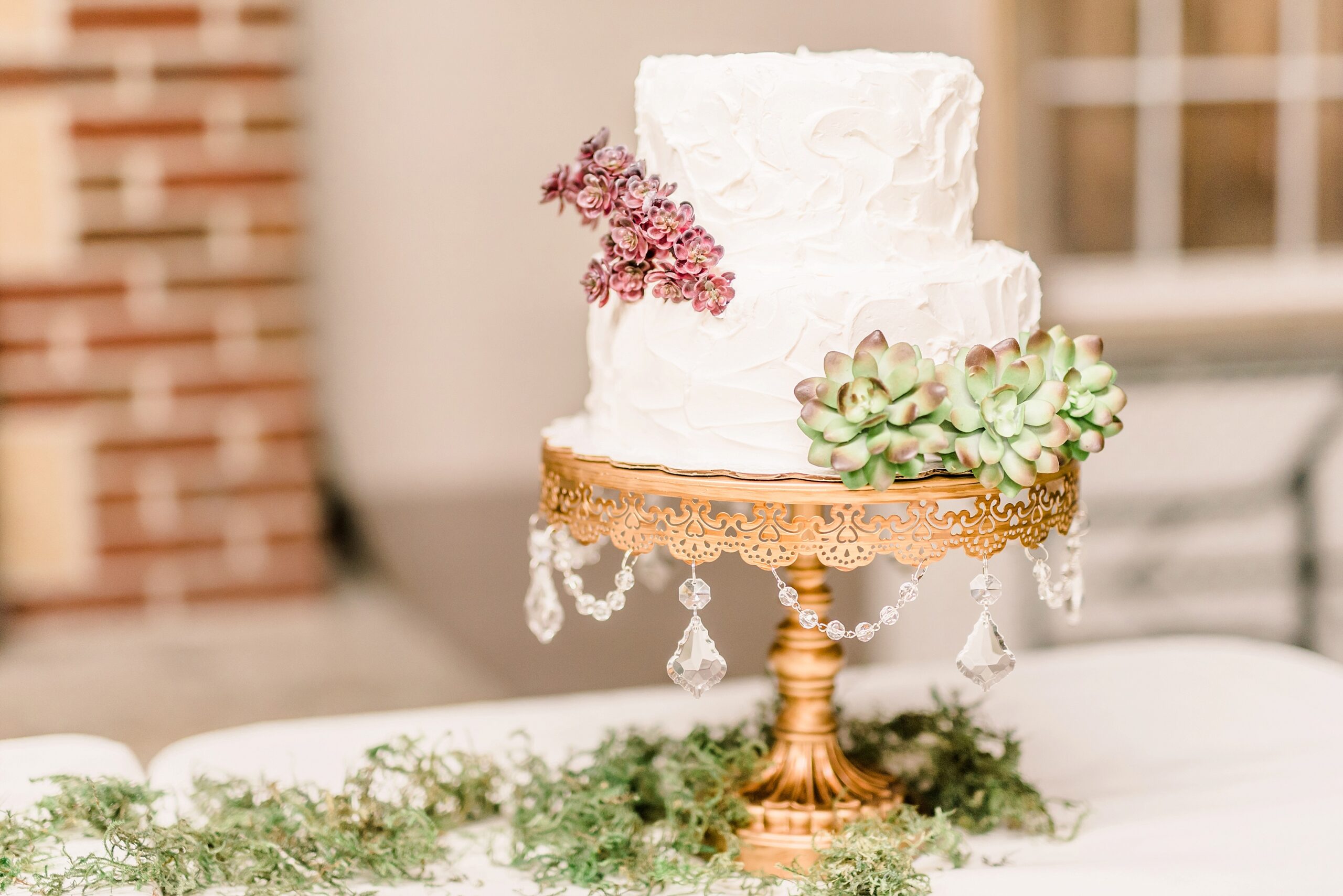 Indiana Wedding Reception spring cake succulents outdoors