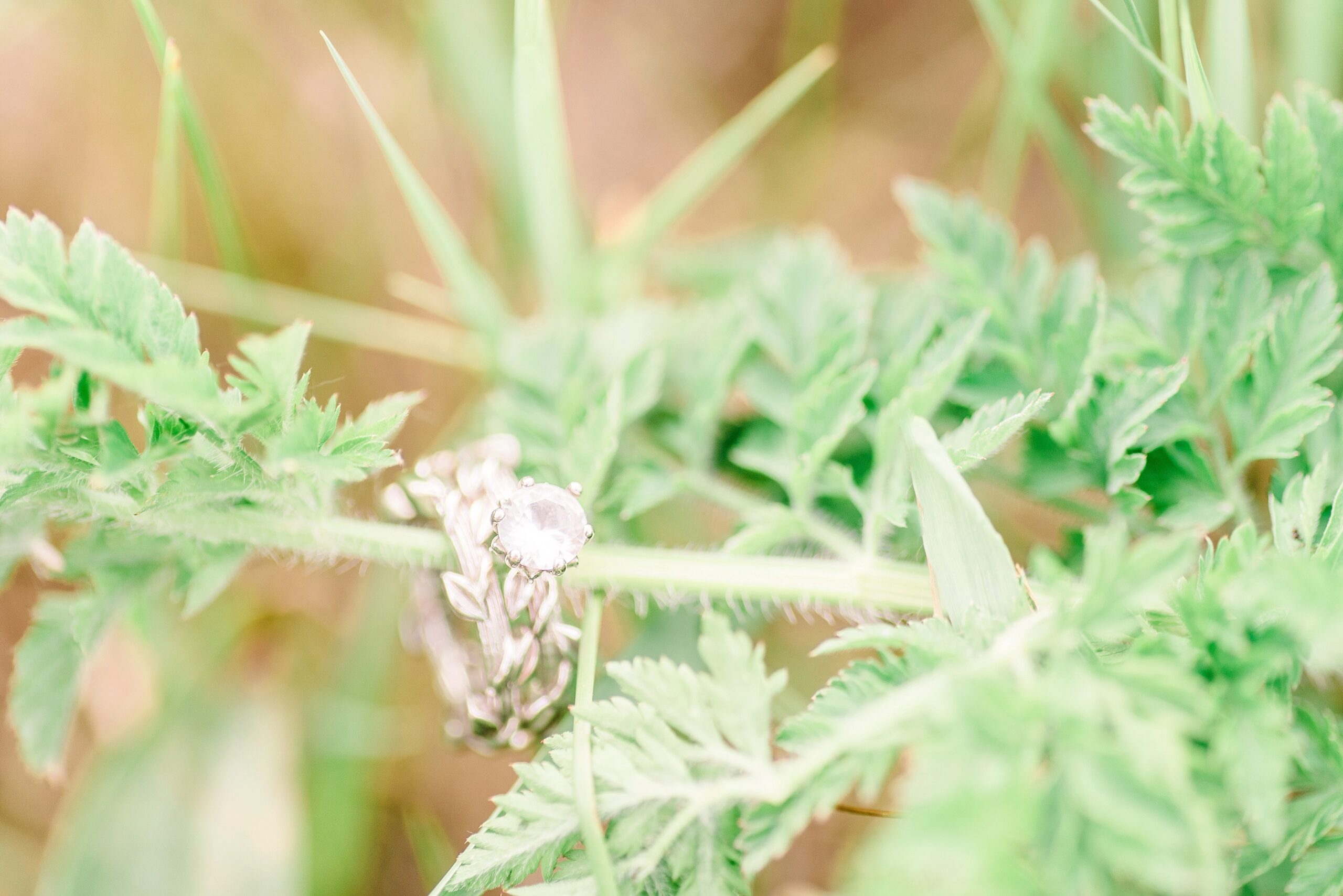 Boho Lafayette Indiana Tall Grass Field Engagement Summer Nature Ring