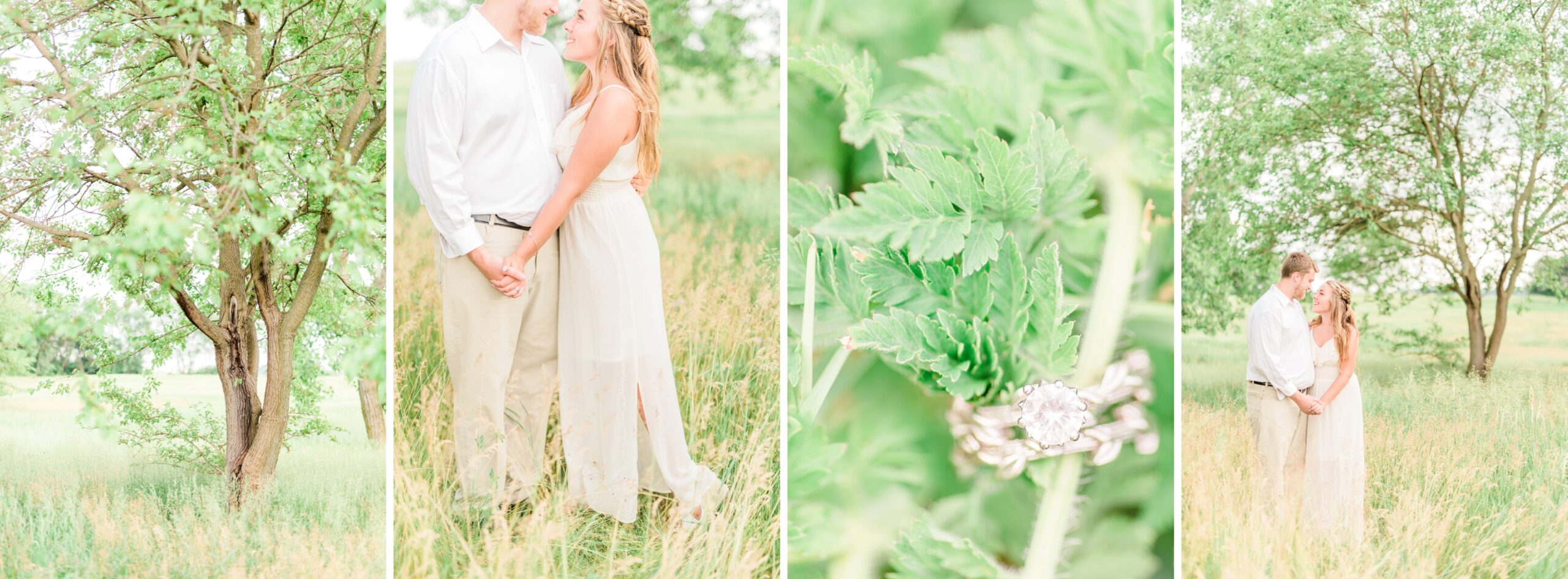 Hidden Meadow Engagement, Indiana