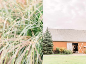 Morgan Acres Autumn Wedding Indianapolis