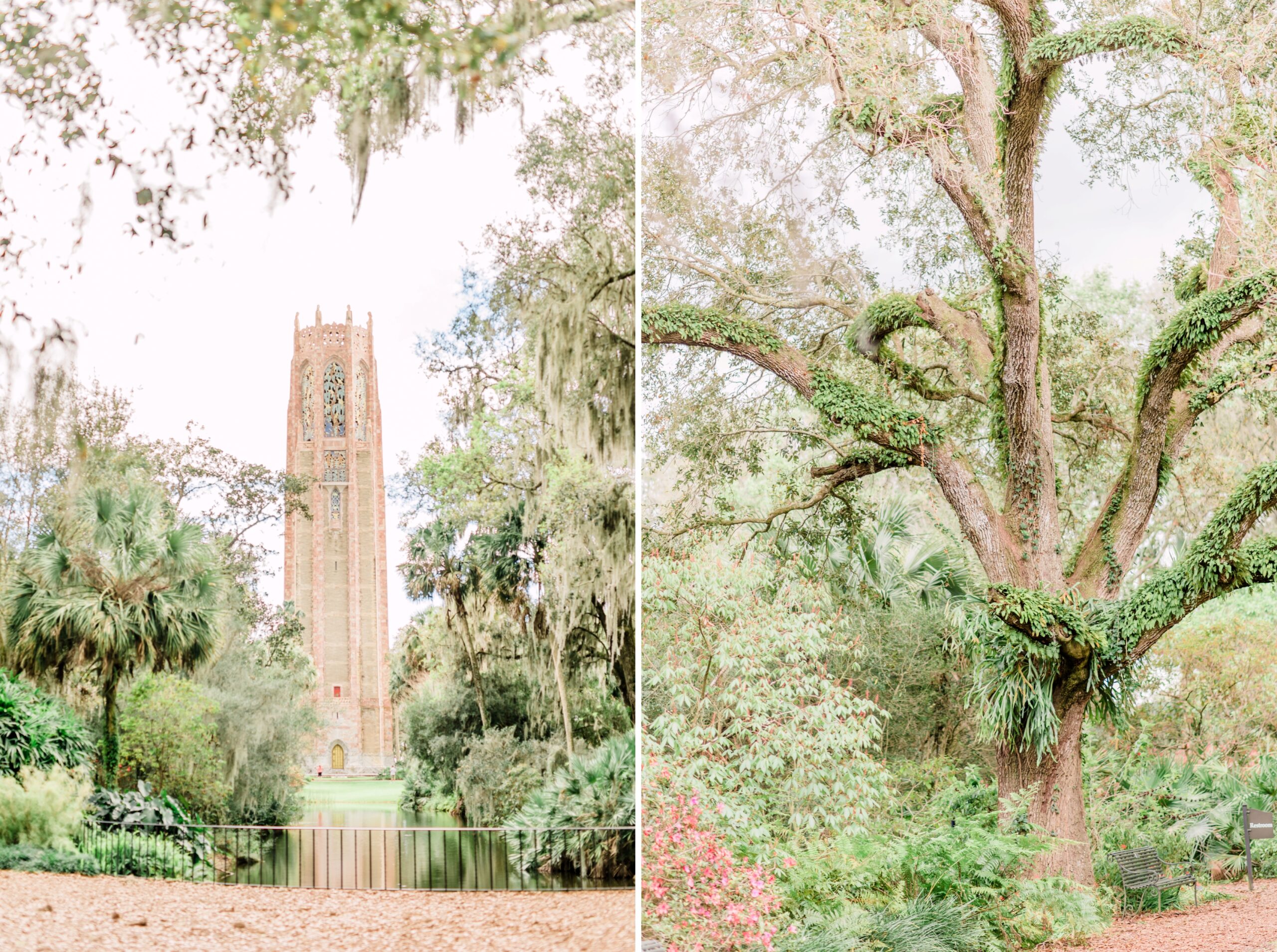 I escaped the winter for 2 weeks bok tower