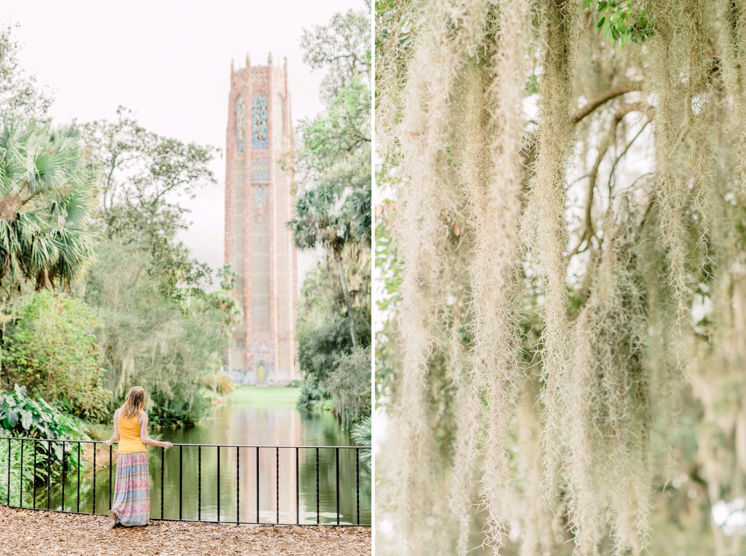 I escaped the winter for 2 weeks bok tower