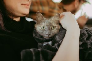 Brown County Indiana Autumn Elopement